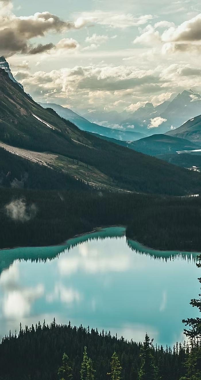 unnamed image