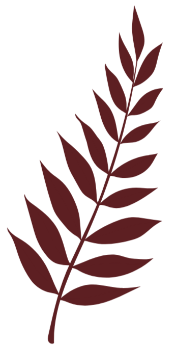 unnamed image