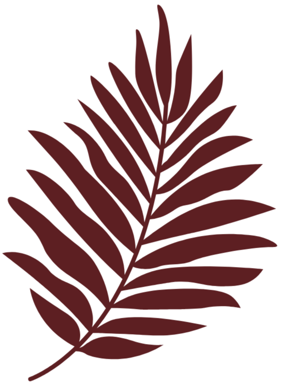 unnamed image