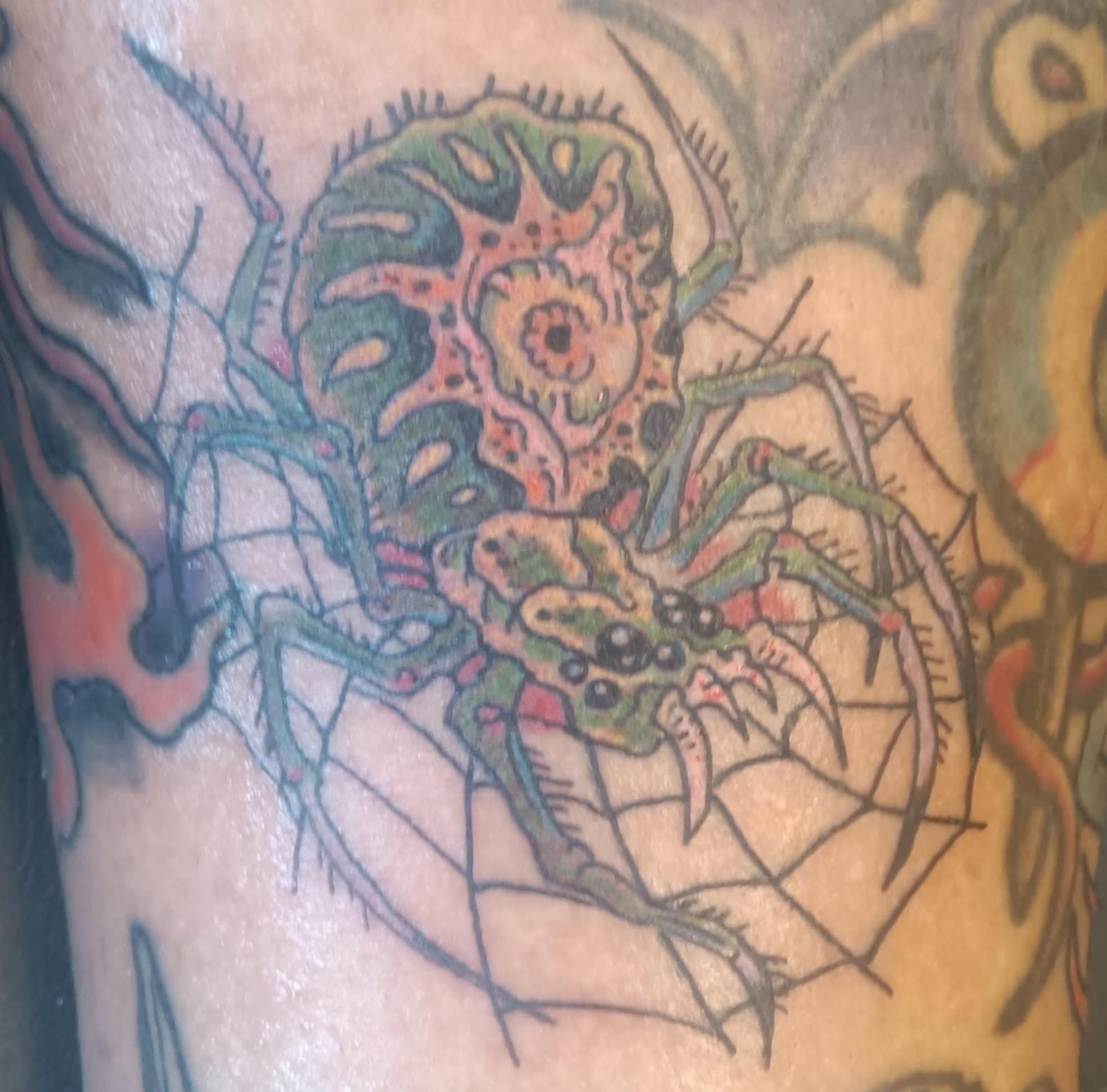 unnamed image